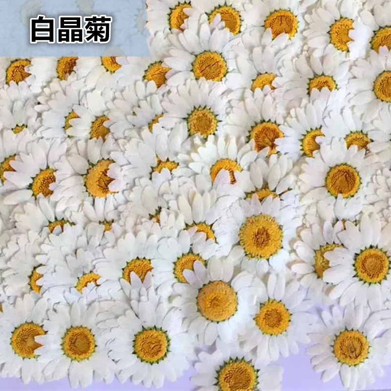 100 pièces de spécimens de pla - Resin Craft Ideas avis et prix