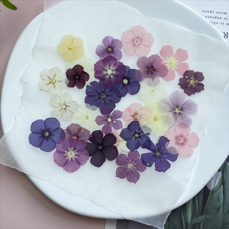 12 pièces, fleurs séchées pres - Resin Craft Ideas avis et prix