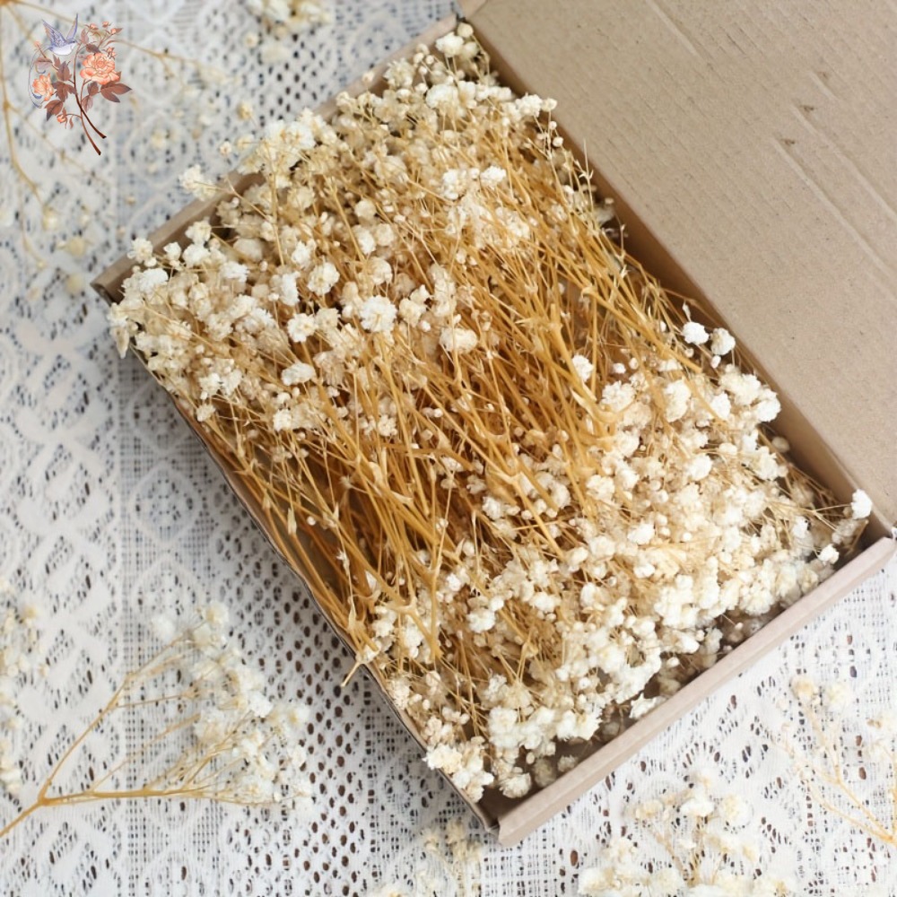 100 mini-fleurs séchées de gyp - Resin Craft Ideas avis et prix